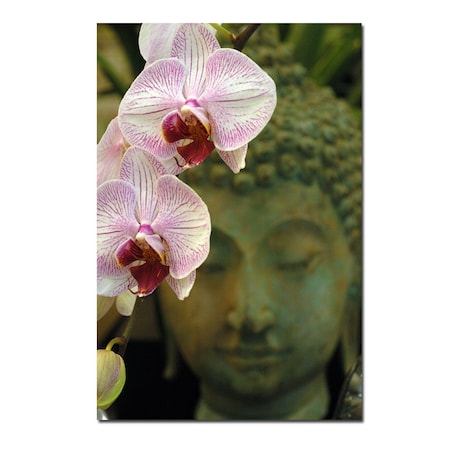 Orchids And Buddha By Kurt Shaffer-Gallery Wrapped 16x24,16x24